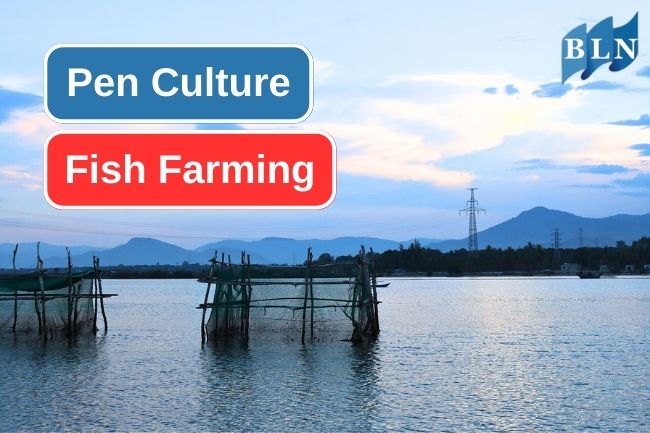 Here Are How Pen Culture Fish Farming Works